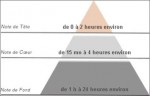 La pyramide olfactive et la durée de la senteur des différentes notes.