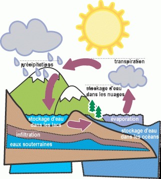 Le cycle de l'eau.
