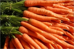 Des carottes, des carottes, encore des carottes !