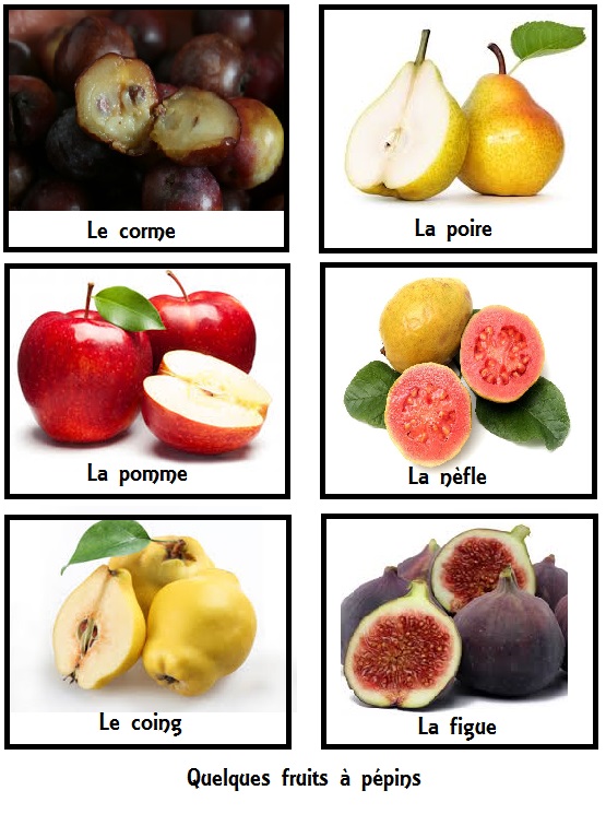 Fruits à pépins, fruits à noyaux et fruits rouges