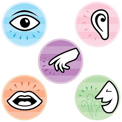 Illustration des cinq sens, de haut en bas et de gauche à droite: la vue, l'ouïe, le toucher, le goût et l'odorat.