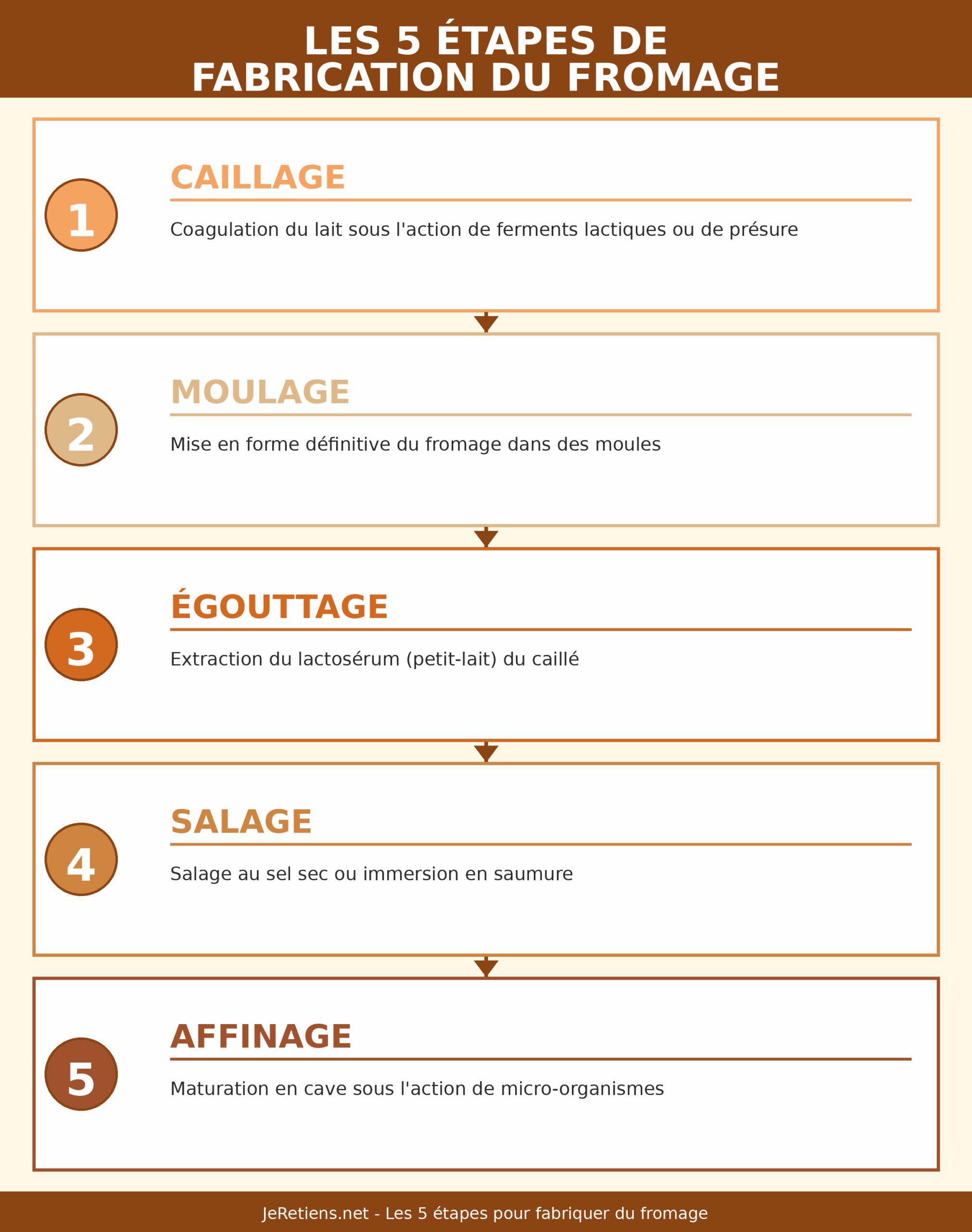 Infographie des 5 étapes de fabrication du fromage : 1. Caillage (coagulation du lait par ferments ou présure), 2. Moulage (mise en forme), 3. Égouttage (extraction du lactosérum), 4. Salage (sel sec ou saumure), 5. Affinage (maturation en cave). Flèches reliant chaque étape chronologiquement.