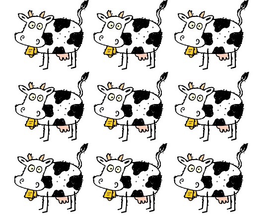 9 vaches 9 ans