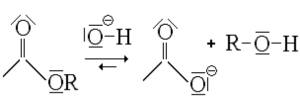 Saponification : Bilan