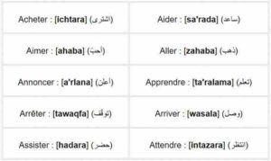 Les verbes arabes