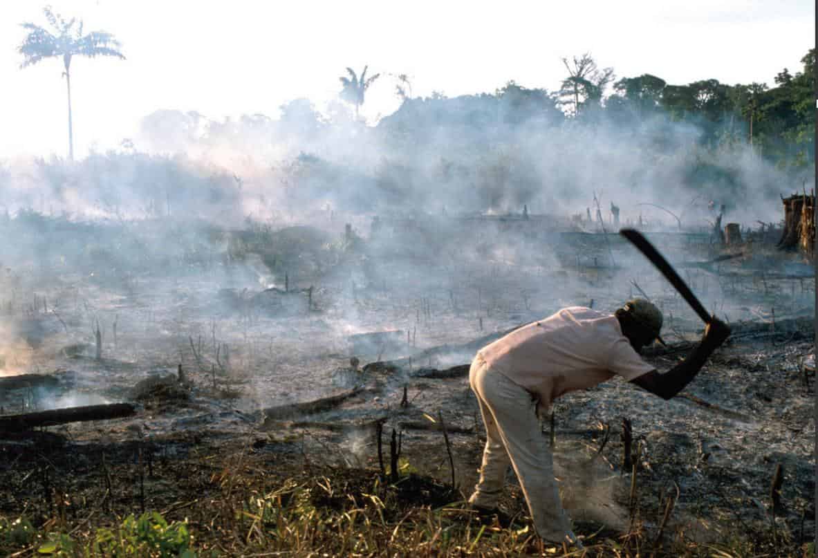 Agriculture sur brûlis au Brésil.