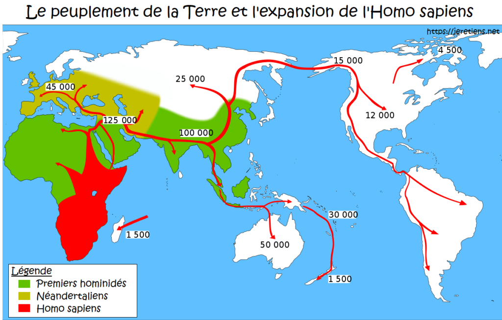 Carte du peuplement de la terre par les hommes et hominidés: homo habilis, homo erectus, homme de Néandertal et homo sapiens