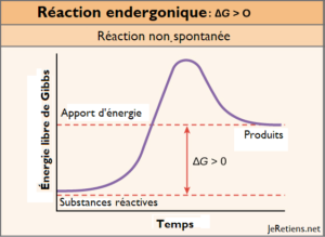 Schéma d'une réaction endergonique, réaction chimique non spontanée nécessitant un apport d'énergie. Mise en perspective avec l'énergie libre de Gibbs.