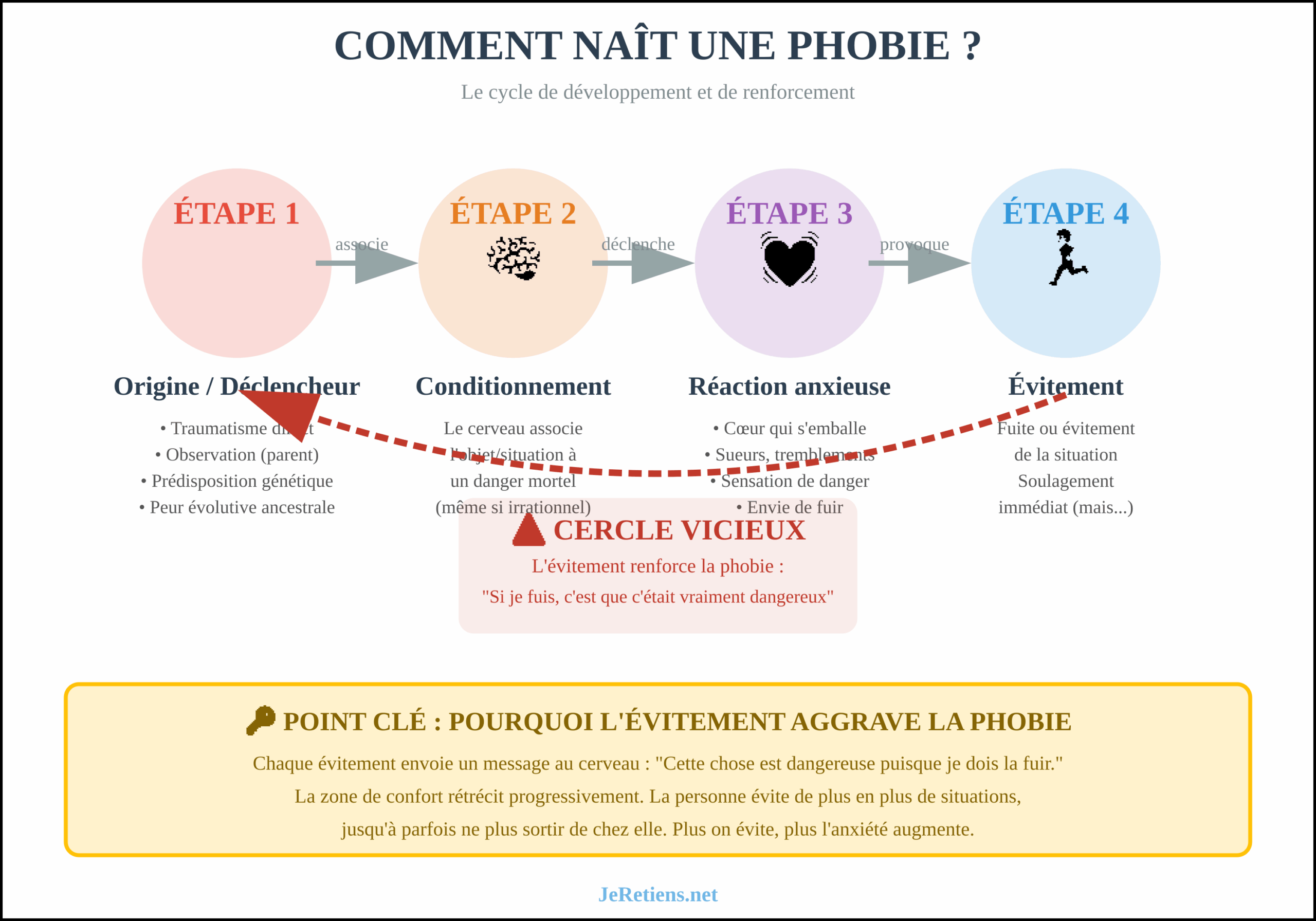 Schéma du cycle de développement d'une phobie en 4 étapes avec cercle vicieux : origine, conditionnement, réaction anxieuse, évitement.