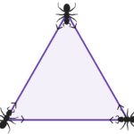 Trois fourmis dans un triangle équilatéral, l'énigme, sa solution et des indices !