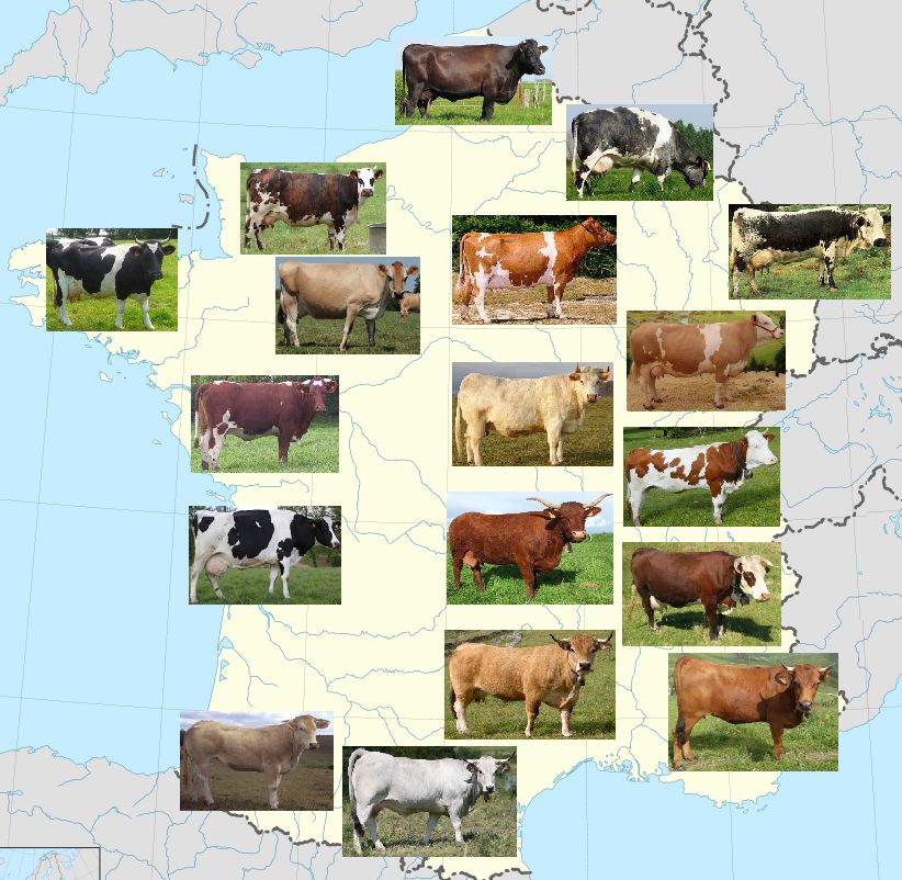  concours Photos 1 43 Toutes Les 3 Semaines V hicule Jantes T le 