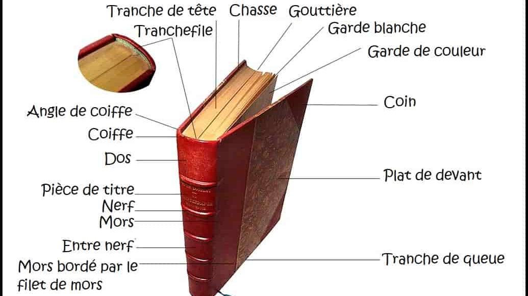 Livre Page De Garde Dos Mors
