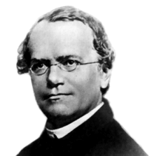 Gregor Mendel (1822 - 1884).