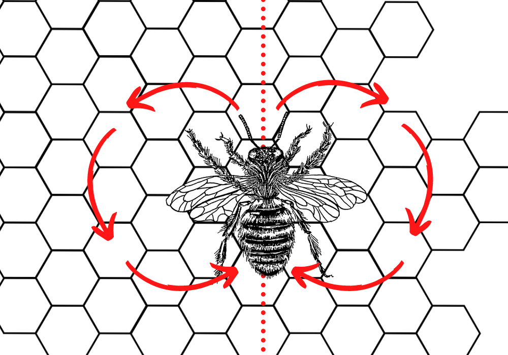 JeRetiens — Comment les abeilles communiquentelles