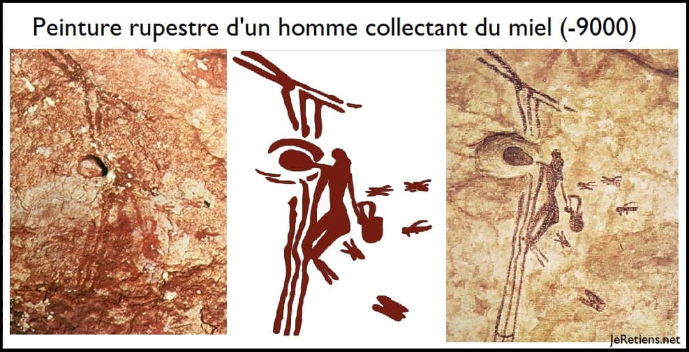 Peinture rupestre préhistorique représentant un homme qui récolte du miel
