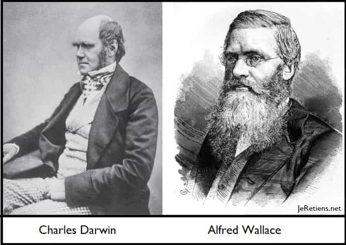 Portraits de Charles Darwin et d'Alfred Wallace, naturalistes de la sélection naturelle