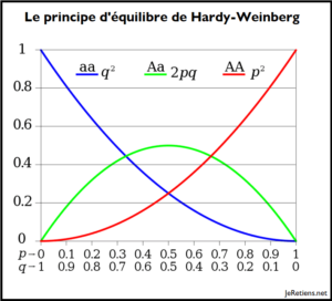 Modèle de Hardy-Weinberg