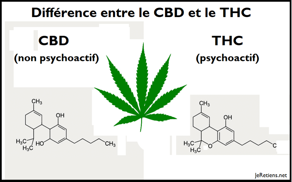 Quelle est la différence entre le thc et le cbd ?