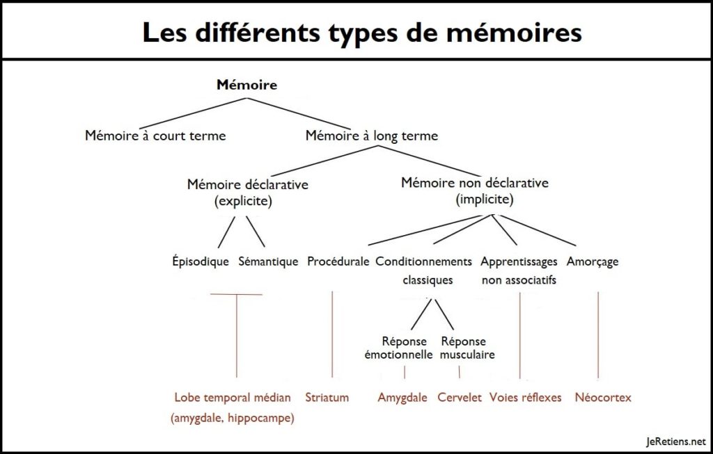 Quels sont les différents types de mémoires ?