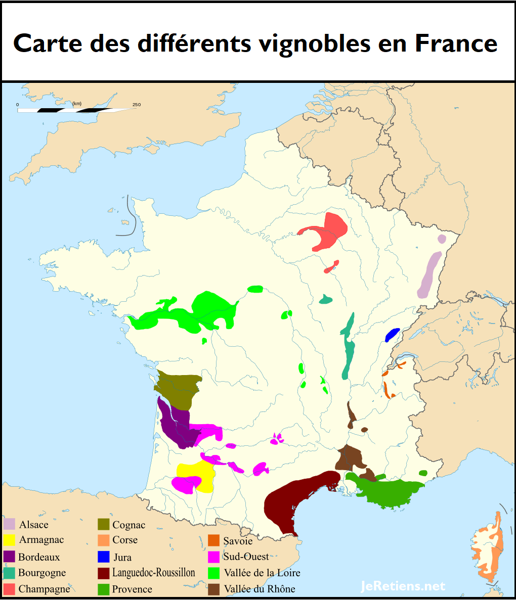 Quelles sont les différentes régions viticoles de France et les différents vins ?