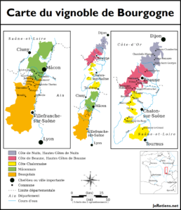 Quels sont les différents vins de Bourgogne ?