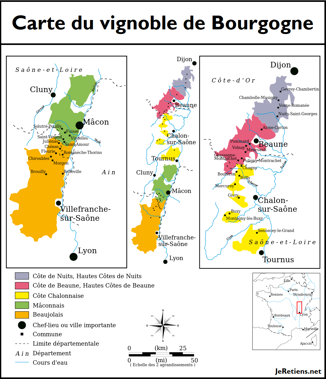 Quels sont les différents vins de Bourgogne ?