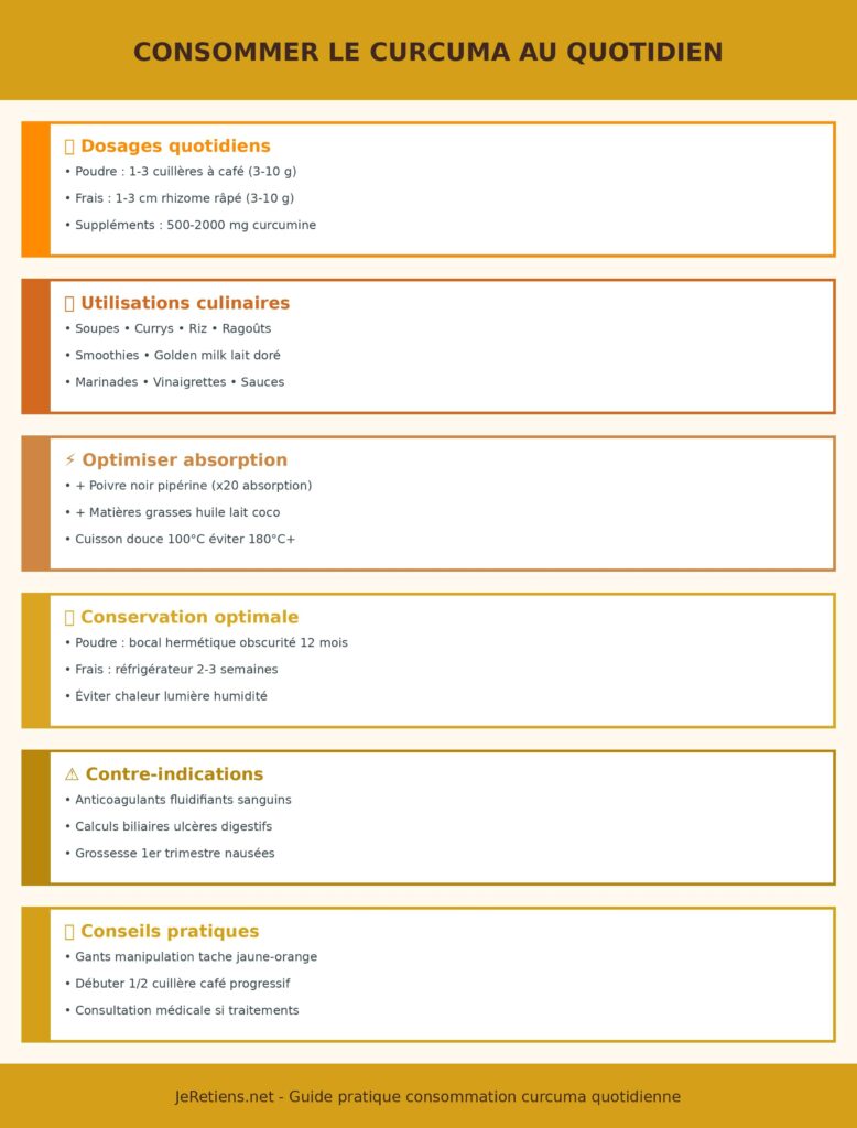Infographie guide consommer curcuma quotidien 6 sections : dosages quotidiens poudre 1-3 cuillères café frais 1-3 cm rhizome suppléments 500-2000 mg, utilisations culinaires soupes currys riz smoothies golden milk marinades, optimiser absorption poivre noir pipérine x20 matières grasses cuisson douce 100°C, conservation poudre bocal hermétique 12 mois frais réfrigérateur 2-3 semaines, contre-indications anticoagulants calculs biliaires grossesse, conseils pratiques gants manipulation débuter progressif consultation médicale. Couleurs dorées curcuma dégradé orangés.