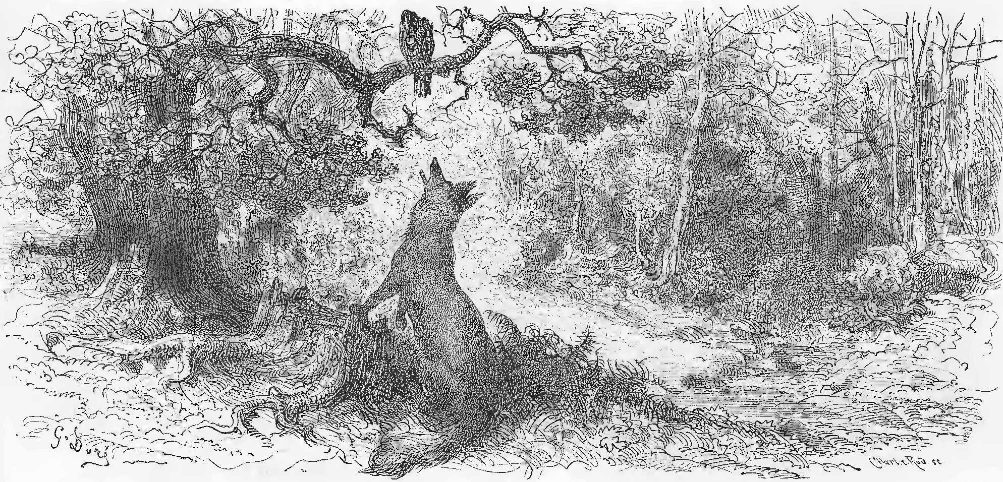 Le Corbeau et le Renard, illustration de Gustave Doré montrant le corbeau perché sur un arbre tenant un fromage dans son bec, et le renard en contrebas le regardant